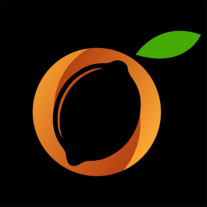 Modern Initial Letter O for Orange Lemon Lime Fruit Illustration Design Vector