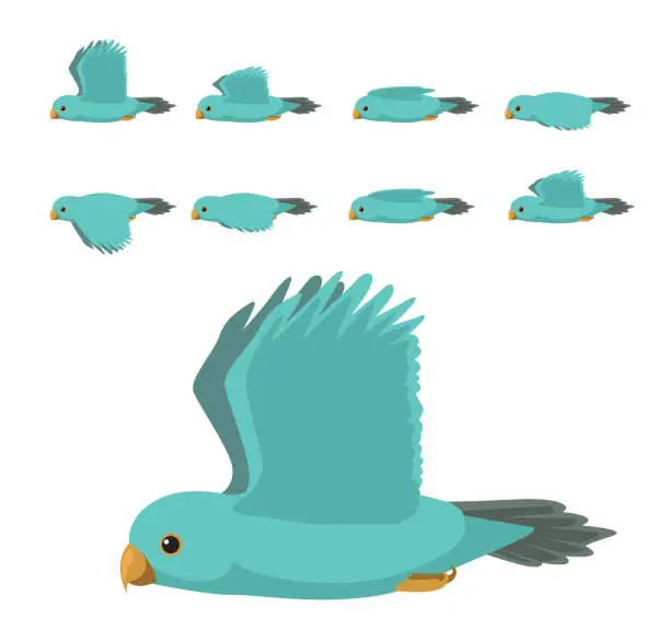 Vector illustration of Pacific Parrotlet Forpus Flying Animation Sequence Cartoon Vector