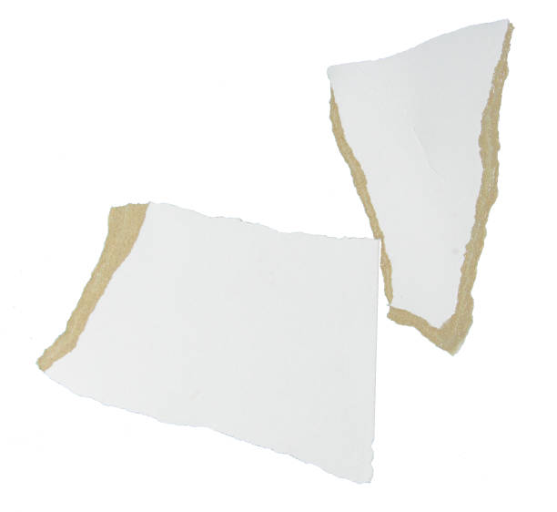 istock A Ripped paper cut on isolated background, space for advertising design 2024514636