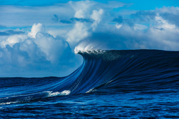 Large blue wave with perfect curl breaking in the open ocean over a shallow reef bombora