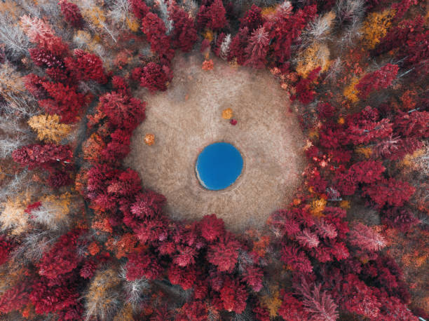 Idyllic blue lake in surreal forest (Infrared Aerochrome look).