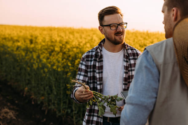 istock farmers on field 2024545288