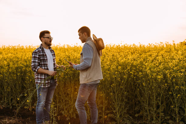 istock farmers on field 2024545289