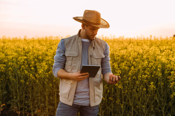 istock farmers on field 2024545807