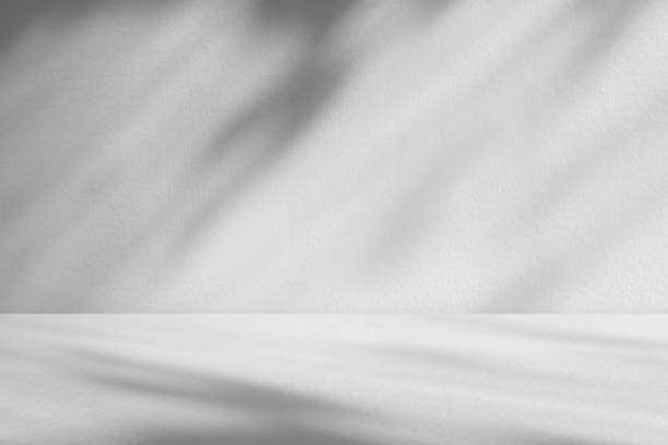 istock Wall interior background, studio and backdrops show products.with shadow from window color white . background for text insertion and presentation product 2024572527