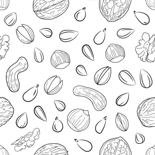 Vector illustration of Graphic image of sunflower seeds and nuts. Pattern Vector graphics.