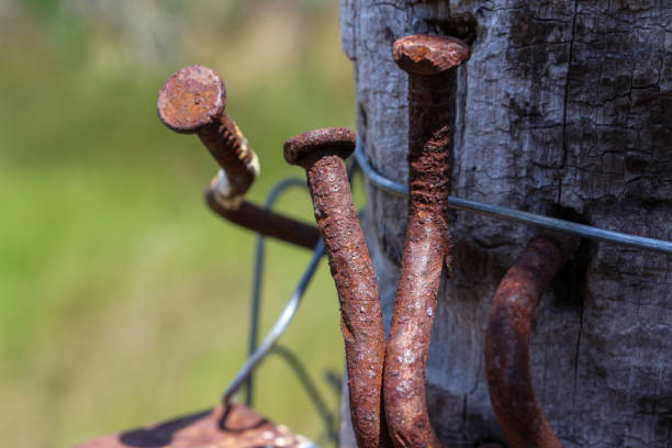 Beautiful macro composition with twisted rusted nails on a wooden stake. Metallic wire, green background. Artistic and creative.