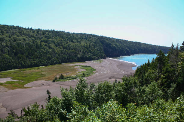 istock Beach overlooking forest edge in Eatonville, Nova Scotia 2024688340
