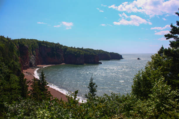 A beach overlooking forest edge in Eatonville, Nova Scotia