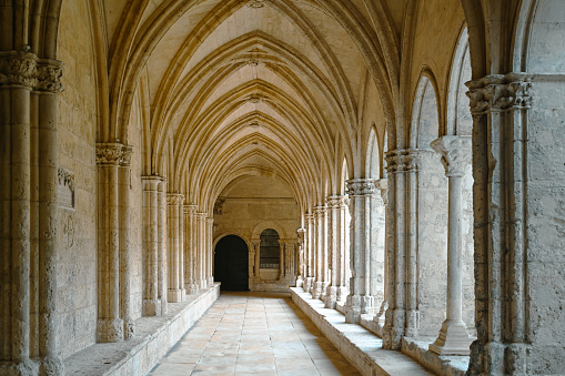 Cloister of the Church of St Trophime, Saint Trophime cathedral, Arles, Provence, France.