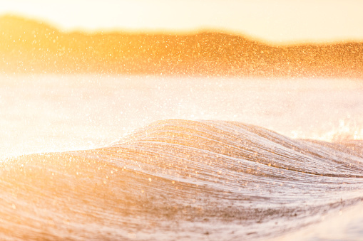 Close up texture of a breaking wave in rich golden light. Photographed in Western Australia.