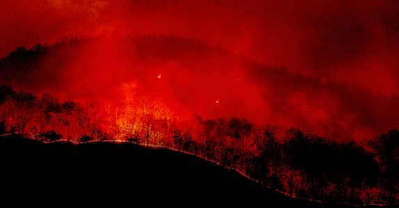 Forest fires at night turned the sky and surrounding area as fiery red contrasting with dark night.
