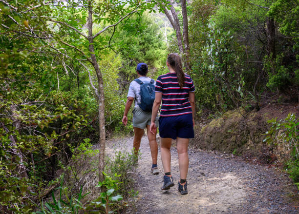 istock Two women hiking in the forest at Kauri Point Centennial Loop track. Auckland. 2024736393