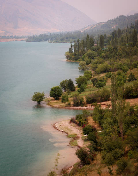 A body of water, enveloped by dense green trees and towering mountains in Uzbekistan, creates a stunning natural landscape. The lake reflects the surrounding greenery and rocky peaks, showcasing the beauty of nature in this picturesque location.