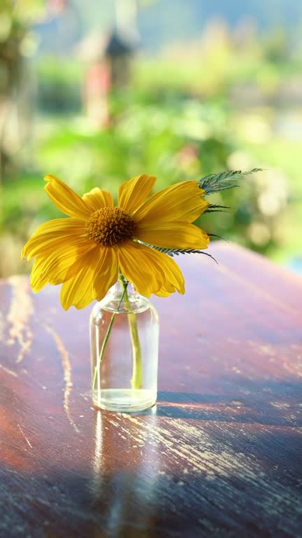 beautiful flower in the vase