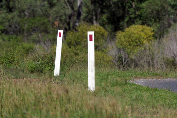 Guide posts amongst green grass next to a road