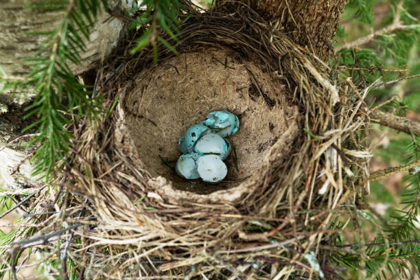 Easter Decoration with Easter Eggs