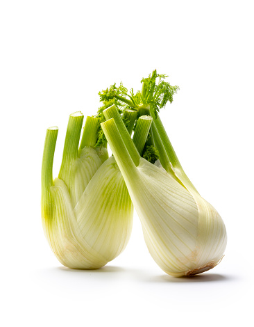 Fresh, organic fennel on a white background,  leaning against each other.