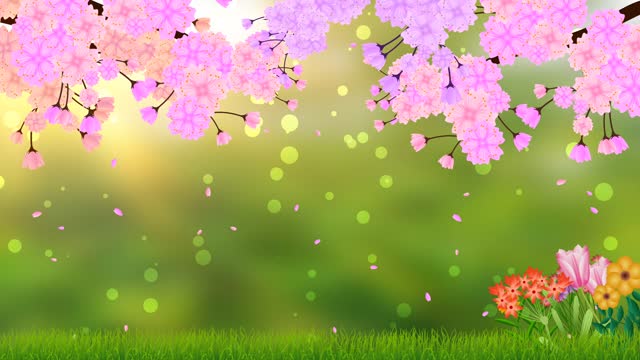 spring scenery animation with beautiful sun shine, pink flowers, and colourful flowers