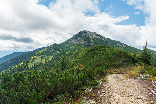 Sivy vrch hill from hiking trail near sedlo Palenica in Western Tatras mountains in Slovakia during late summer