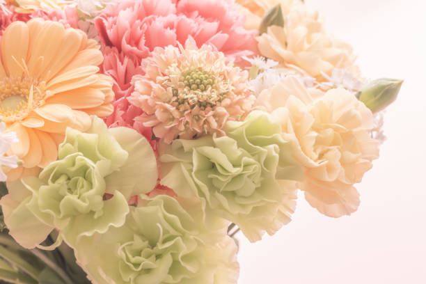 flowers, spring, bouquet, pastel colors, floral background