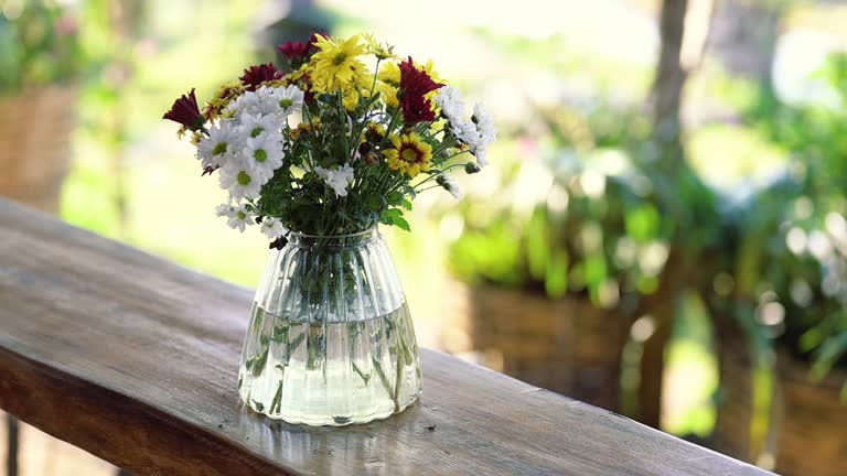 beautiful flower in the vase