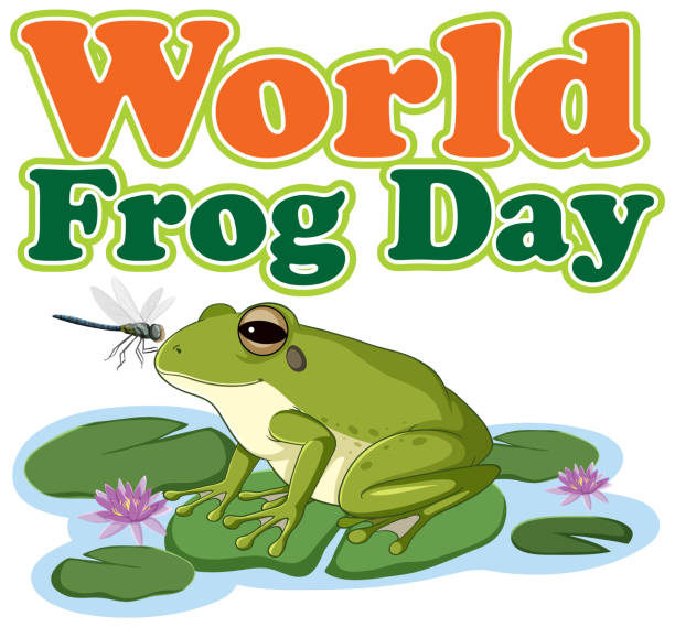 illustrations, cliparts, dessins animés et icônes de grenouille verte attrapant une mouche lors de la journée mondiale de la grenouille - frog catching fly water