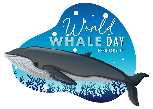 Vector graphic of a whale for World Whale Day