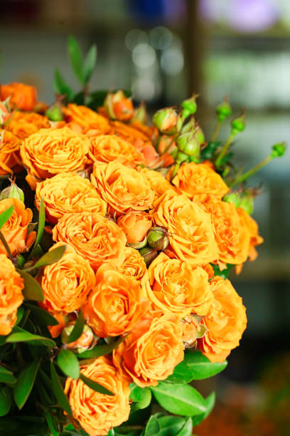 istock Bouquet of Orange Roses on Table 2024899941