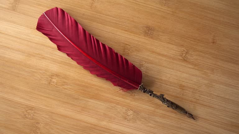 Feather Pen on Wood Background Rotates