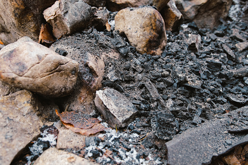 Close-up of charred black rocks amidst forest fire debris and ash