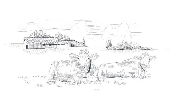 Vector illustration of Rural landscape with cows in a meadow