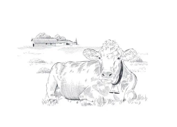 Vector illustration of Rural landscape with cow in a meadow