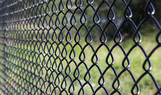 Close up view of a black chain-link fence with blurred greenery in the background
