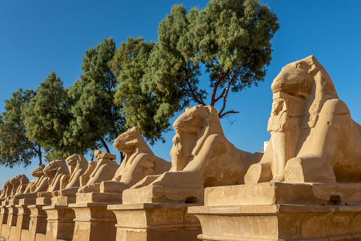 Ram-headed sphinxes in Karnak temple complex on the east bank of the Nile river in Luxor, Egypt