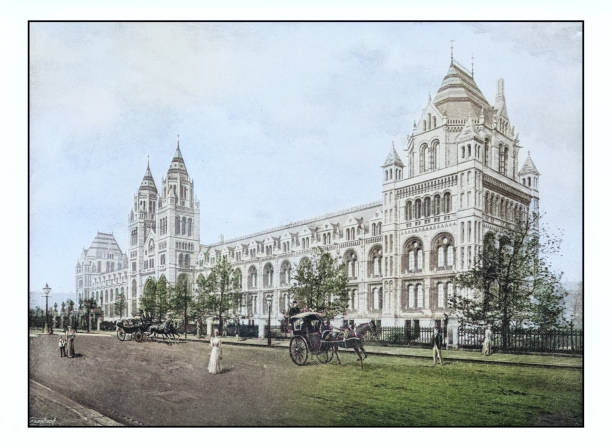 istock Antique London's photographs: Natural History Museum, South Kensington 2024965866