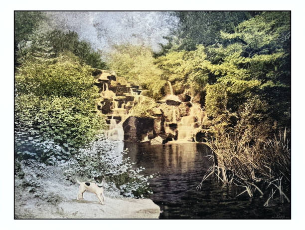 Antique London's photographs: The cascade, Virginia water