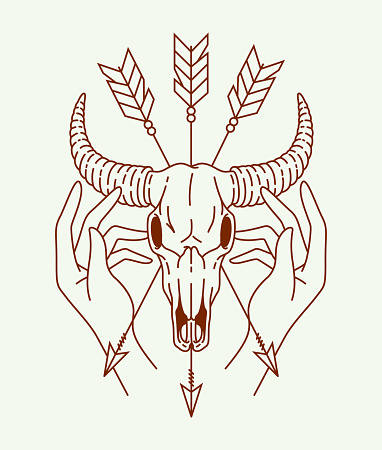 buffalo skull line art illustration