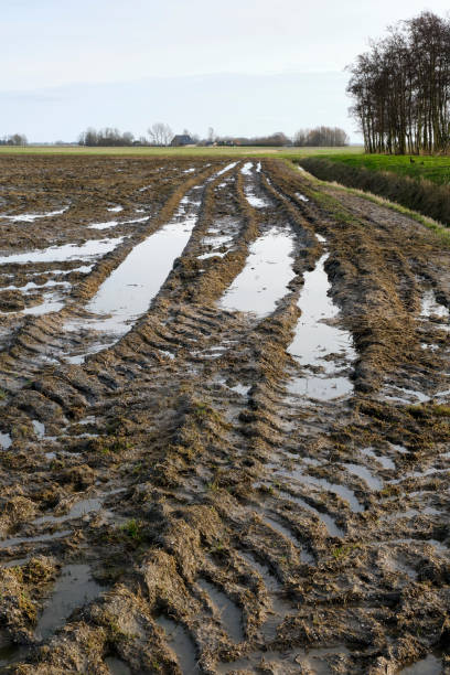 istock A flooded agricultural field due to heavy rainfall 2024995984