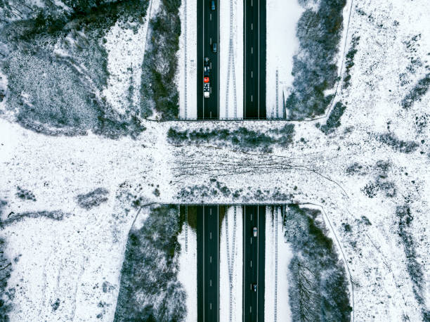Wildlife overpass animal crossing over a highway through a snowy forest landscape seen from above with cars and trucks driving on the black asphalt and animal tracks in the snow visible on the bridge.
