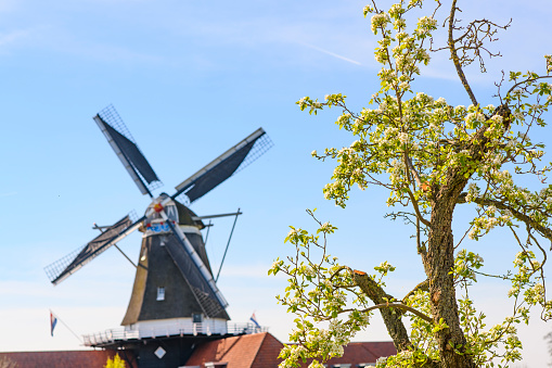 Windmill named Nordermuehle at Pellworm island in North Frisia, Germany