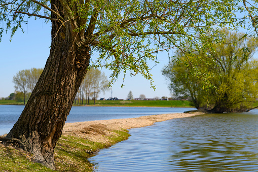 Landscape of Danube Delta. Danube distributary channel. Romania.