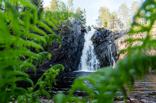 Beautiful Hepoköngäs waterfall shot through lush Ferns on a summer evening in Finland, Northern Europe