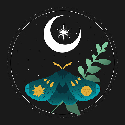 Celestial background with blue moth, star and crescent moon. Vector illustration