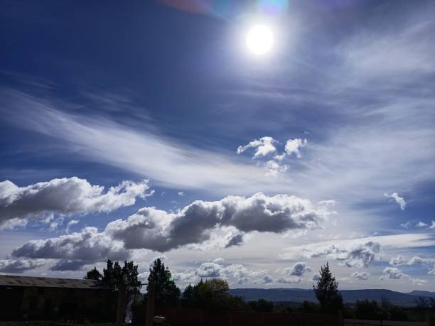 Sunny weather with cumulating clouds and trees