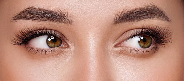 istock Beautiful female eyes with long eyelashes 2025028940