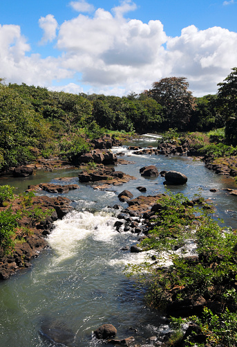 Grand River South East, Flaq District, Mauritius: boulders and rapids on the Grand River South East, framed by lush green forest, seen from the B28 road on the GRSE bridge, about 1 mile north of the river mouth.
