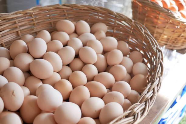 istock close up of eggs in a bowl. 2025036609