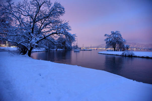 Winter cityscape with ducks swimming in an unfrozen river, trees on the banks, snowdrifts and churches in the distance. Provincial city of Solikamsk (Northern Urals, Russia). Yellow-blue evening sky