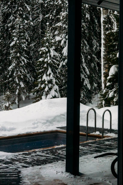 istock swimming pool in snowy forest 2025065559